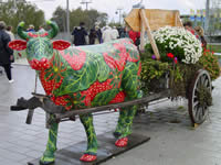 Tivola's Welt - Bildergalerie Bundesgartenschau 2003 in Rostock