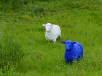 Tivola's Welt - Bildergalerie Bundesgartenschau 2003 in Rostock