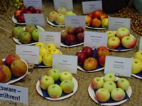 Tivola's Welt - Bildergalerie Bundesgartenschau 2003 in Rostock