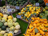 Tivola's Welt - Bildergalerie Bundesgartenschau 2003 in Rostock