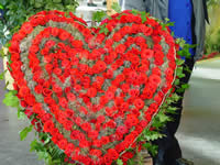 Tivola's Welt - Bildergalerie Bundesgartenschau 2003 in Rostock