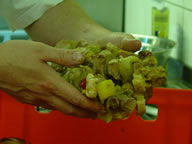 Tivola's Welt - Bildergalerie Neuendorfer Dorffest im Jahr 2003 - Beatabend mit der Gruppen The Jets, Sperrstund und Sohlmen