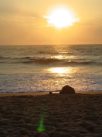 Tivola's Welt - Bildergalerie Sommerurlaub Frankreich (2003)