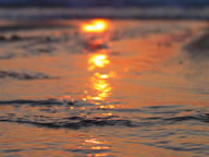 Tivola's Welt - Bildergalerie Sommerurlaub Frankreich (2003)