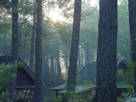 Tivola's Welt - Bildergalerie Sommerurlaub Frankreich (2003)