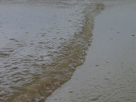 Tivola's Welt - Bildergalerie Sommerurlaub Frankreich (2003)