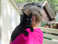 Tivola's Welt - Bildergalerie Sommerurlaub Frankreich (2003)