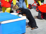 Tivola's Welt - Bildergalerie Kurztripp ins Legoland nach Günzburg mit Übernachtung in der Pension in Augsburg im Jahr 2005.