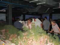 Tivola's Welt - Bildergalerie Kurztripp mit Schlot nach Hamburg im Agust 2005