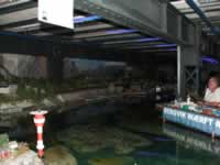 Tivola's Welt - Bildergalerie Kurztripp mit Schlot nach Hamburg im Agust 2005