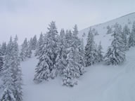 Tivola's Welt - Bildergalerie Skiurlaub mit dem Sportverein Neuendorf 2005 