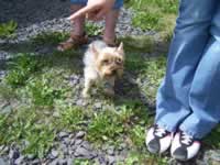 Tivola's Welt - Bildergalerie Ausflug der Brgernetze Main-Spessart e.V. in die Rhn mit Besichtigung des Senders Kreuzberg 2006