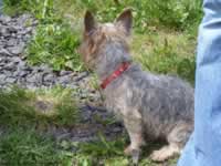 Tivola's Welt - Bildergalerie Ausflug der Brgernetze Main-Spessart e.V. in die Rhn mit Besichtigung des Senders Kreuzberg 2006