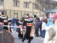 Tivola's Welt - Bildergalerie Faschingsumzug am 26.02.2006 in Langenprozelten