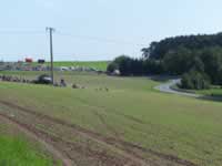 Tivola's Welt - Bildergalerie Autorennen Eichenbhl