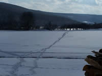 Tivola's Welt - Bildergalerie Winderwanderung im Neuendorfer Wald am Sonntag, den 05.03.2006