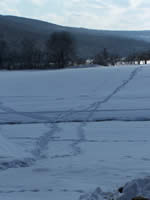 Tivola's Welt - Bildergalerie Winderwanderung im Neuendorfer Wald am Sonntag, den 05.03.2006