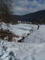 Tivola's Welt - Bildergalerie Winderwanderung im Neuendorfer Wald am Sonntag, den 05.03.2006
