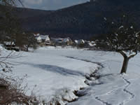 Tivola's Welt - Bildergalerie Winderwanderung im Neuendorfer Wald am Sonntag, den 05.03.2006