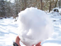 Tivola's Welt - Bildergalerie Winderwanderung im Neuendorfer Wald am Sonntag, den 05.03.2006