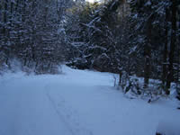 Tivola's Welt - Bildergalerie Winderwanderung im Neuendorfer Wald am Sonntag, den 05.03.2006