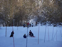 Tivola's Welt - Bildergalerie Winderwanderung im Neuendorfer Wald am Sonntag, den 05.03.2006