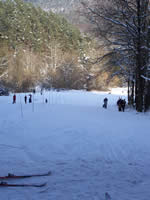 Tivola's Welt - Bildergalerie Winderwanderung im Neuendorfer Wald am Sonntag, den 05.03.2006