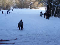 Tivola's Welt - Bildergalerie Winderwanderung im Neuendorfer Wald am Sonntag, den 05.03.2006
