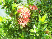 Tivola's Welt - Bildergalerie Indienurlaub - 2007-09-09