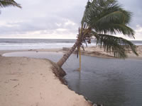 Tivola's Welt - Bildergalerie Indienurlaub - 2007-09-09