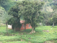 Tivola's Welt - Bildergalerie Indienurlaub - 2007-09-10 / 09-13