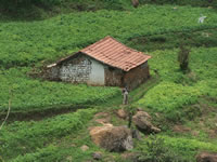 Tivola's Welt - Bildergalerie Indienurlaub - 2007-09-10 / 09-13