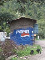 Tivola's Welt - Bildergalerie Indienurlaub - 2007-09-10 / 09-13