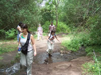 Tivola's Welt - Bildergalerie Indienurlaub - 2007-09-10 / 09-13