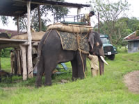 Tivola's Welt - Bildergalerie Indienurlaub - 2007-09-10 / 09-13