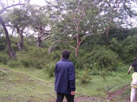 Tivola's Welt - Bildergalerie Indienurlaub - 2007-09-10 / 09-13