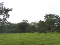 Tivola's Welt - Bildergalerie Indienurlaub - 2007-09-10 / 09-13