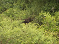 Tivola's Welt - Bildergalerie Indienurlaub - 2007-09-10 / 09-13