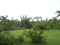 Tivola's Welt - Bildergalerie Indienurlaub - 2007-09-10 / 09-13