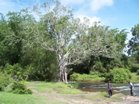 Tivola's Welt - Bildergalerie Indienurlaub - 2007-09-10 / 09-13