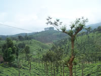 Tivola's Welt - Bildergalerie Indienurlaub - 2007-09-10 / 09-13