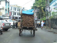 Tivola's Welt - Bildergalerie Indienurlaub 2007