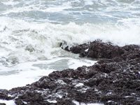 Tivola's Welt - Bildergalerie Indienurlaub 2007