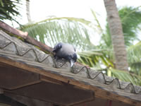 Tivola's Welt - Bildergalerie Indienurlaub 2007