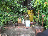 Tivola's Welt - Bildergalerie Indien 16.09.2007