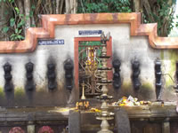 Tivola's Welt - Bildergalerie Indien 16.09.2007