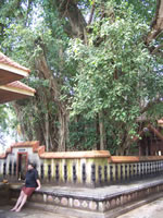 Tivola's Welt - Bildergalerie Indien 16.09.2007