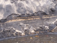 Tivola's Welt - Bildergalerie Indienurlaub 17.09.2007