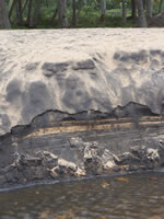 Tivola's Welt - Bildergalerie Indienurlaub 17.09.2007