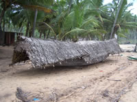 Tivola's Welt - Bildergalerie Indienurlaub 17.09.2007